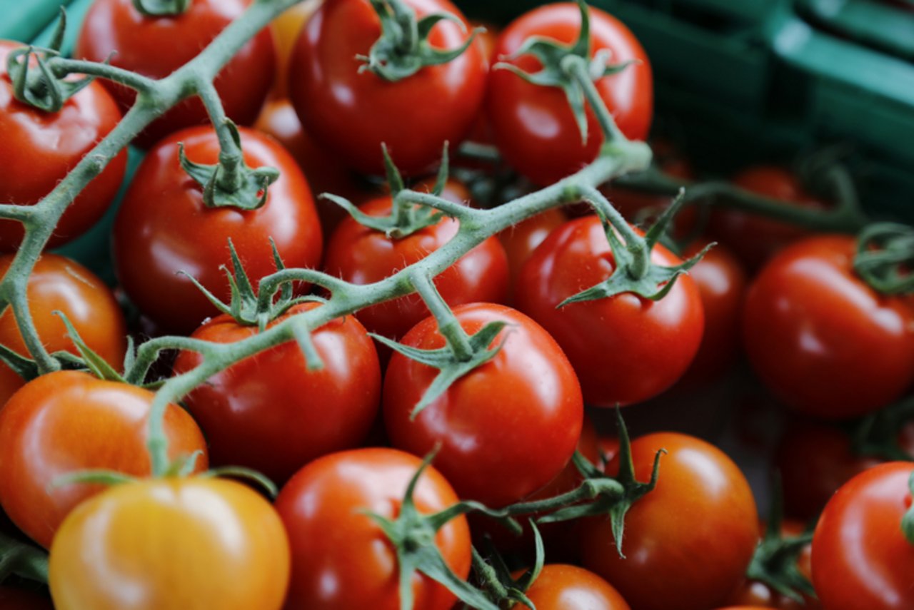 Cherry-Tomaten sind in der Schweiz ein beliebter Snack für zwischendurch. (Bild ji)