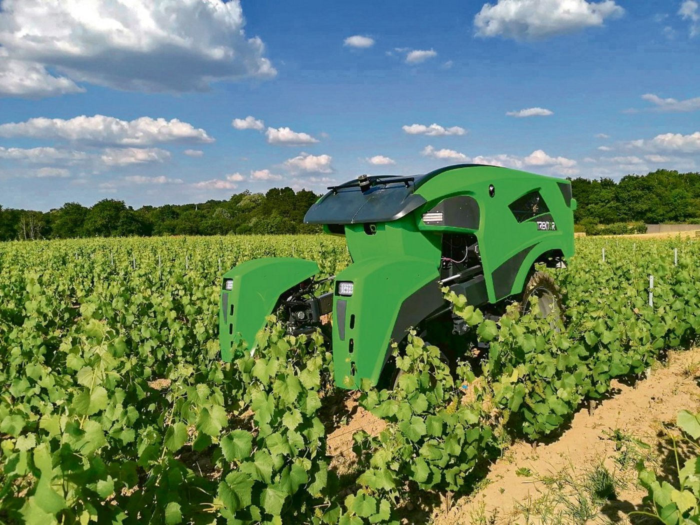 Der «Trektor» von Sitia kann im Reb- und Gemüsegemüsebau und in Baumschulen eingesetzt werden. (Bild Sitia)