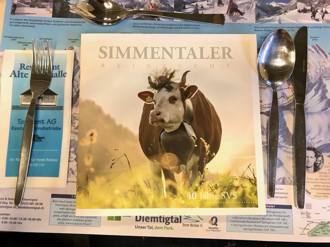 Die Broschüre zum 40-jährigen Bestehen des SVS kann beim Verband bestellt werden. (Bild akr)