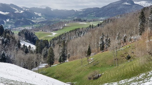 Impression aus dem Kanton Solothurn vom Mittwoch: Der April macht seinem Ruf alle Ehre und bringt nach warmen Tagen noch einmal verbreitet Schnee. (Bild Christoph Saner)