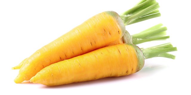 Das Pfälzerrüebli ist eng mit dem Küttiger Rüebli verwandt, das aber konischer und weisser ist. (Bild Verband Schweizer Gemüseproduzenten) 