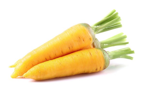 Die Grossmutter der Karotte bauernzeitung.ch BauernZeitung