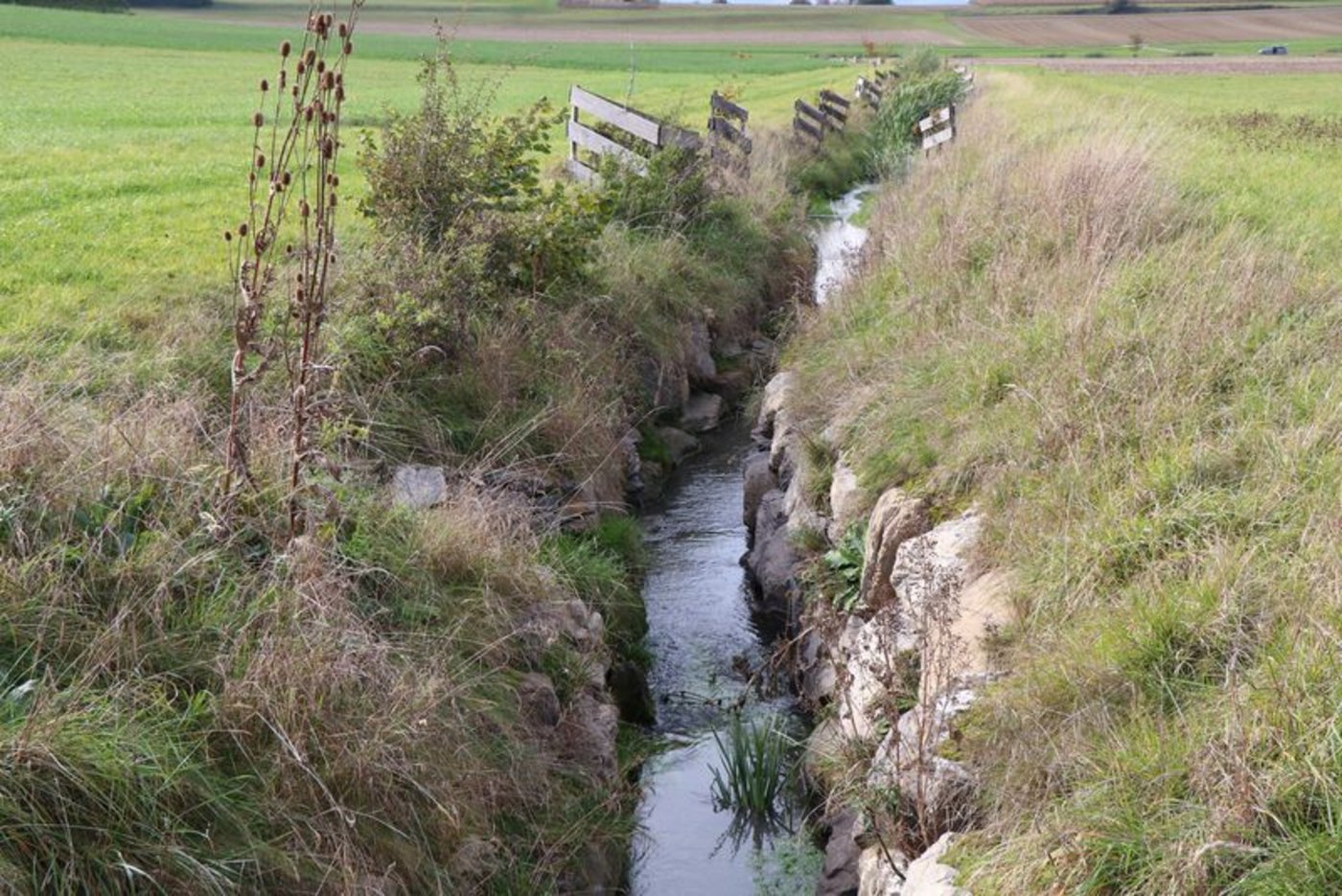 In Assens wurden im Zuge einer Gesamt-Melioration auch neue Bachläufe und andere Gewässer geschaffen. (Bilder lid)