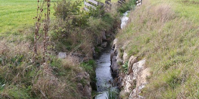 In Assens wurden im Zuge einer Gesamt-Melioration auch neue Bachläufe und andere Gewässer geschaffen. (Bilder lid)