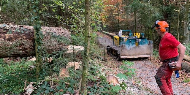 Rücken von Käferholz mit der Seilwinde. Der von Daniel Ott ferngesteuerte selbstfahrende Raupenschlepper eignet sich besonders für schmale Pfade. Das schont auch den Boden. (Bilder Josef Scherer)