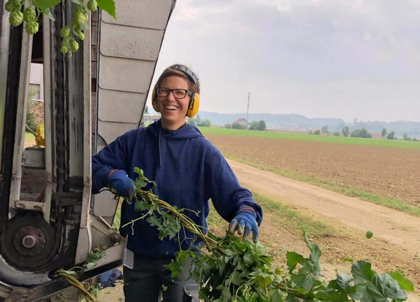Redaktorin Esther Thalmann wollte wieder einmal Hopfen ernten. (Bild Emil Keller)