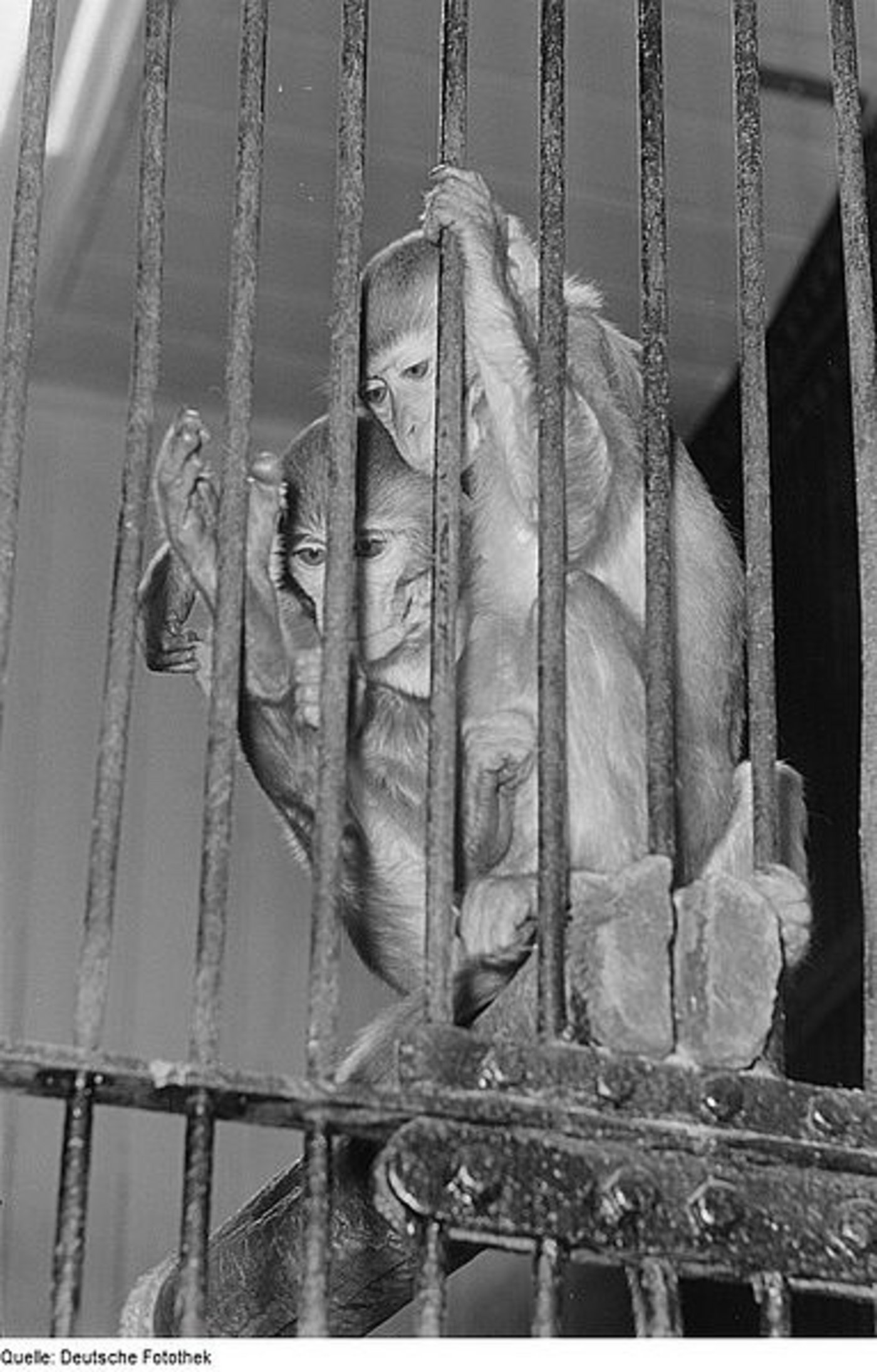 Symbolbild. (Roger Rössing)