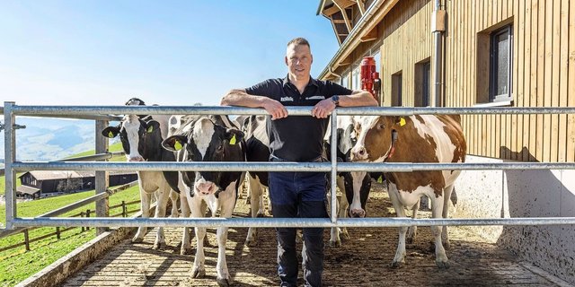 Matthias Sempach und seine Holsteinkühe freuen sich auf den Weidestart. Die Weiden hat er mit einem festen Zaun eingezäunt.