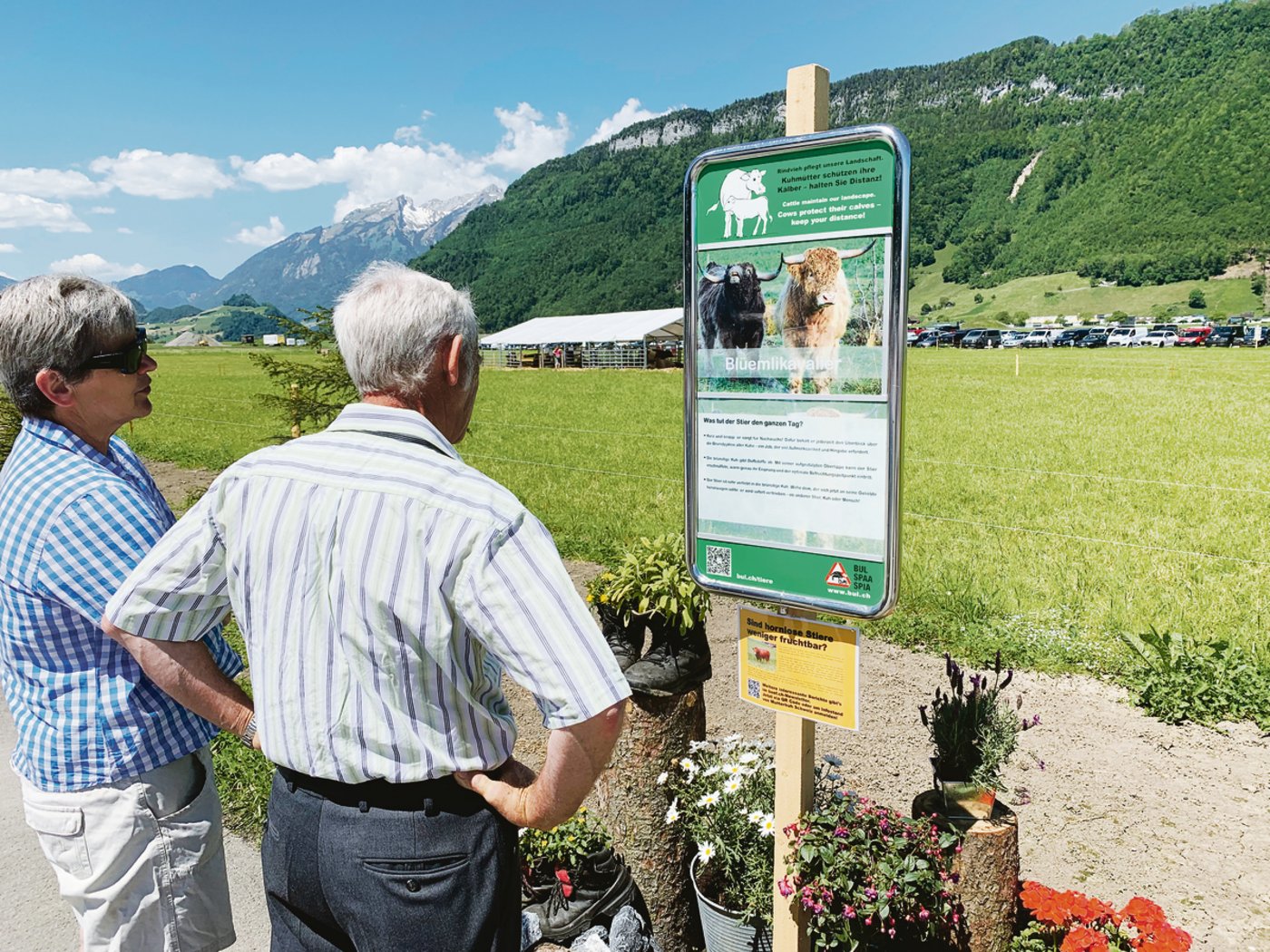 Der Stier ist meist nicht das Problem in Mutterkuhweiden. Mehr Unfälle passieren mit den Kühen, wird auf dieser Tafel erklärt.