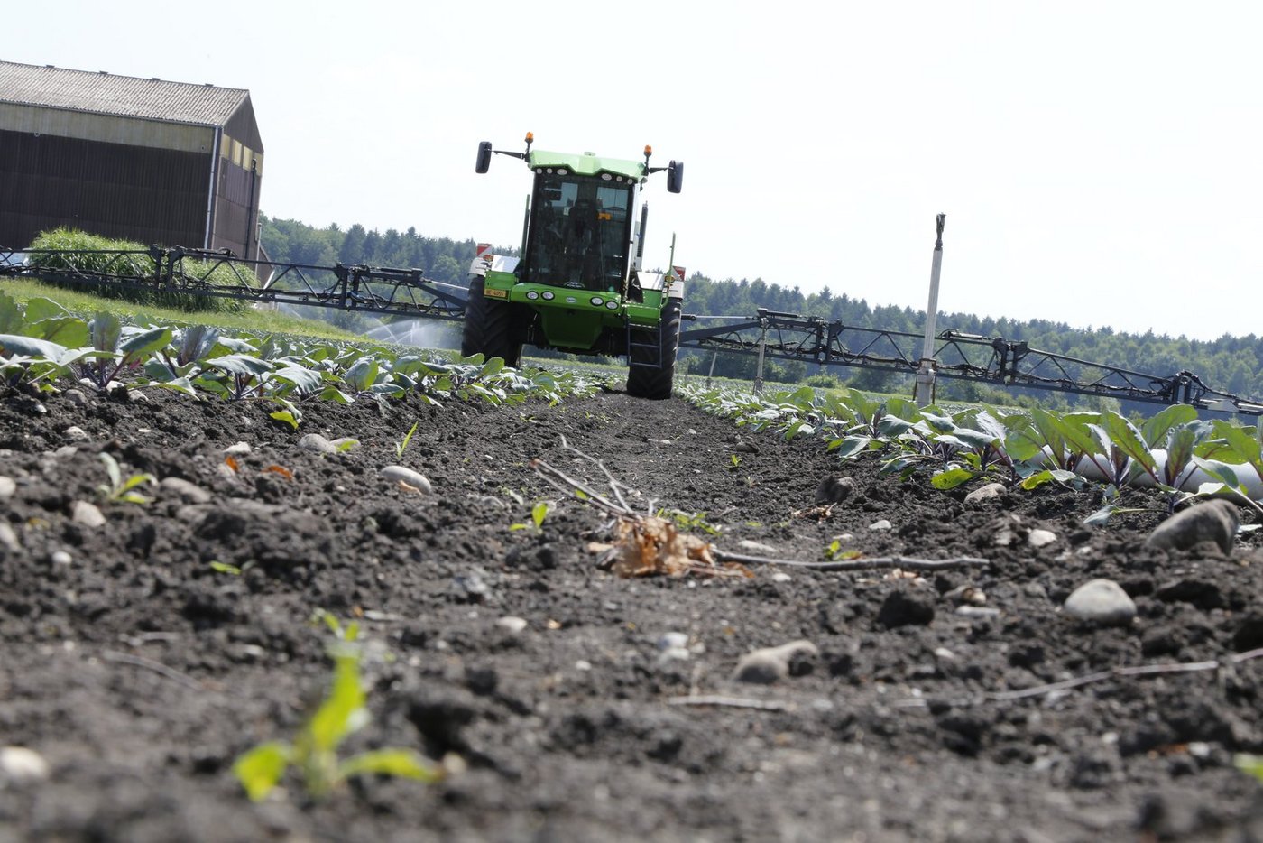 Vergleiche zu ziehen ist schwieriger als es zunächst scheint. (Bild LID)