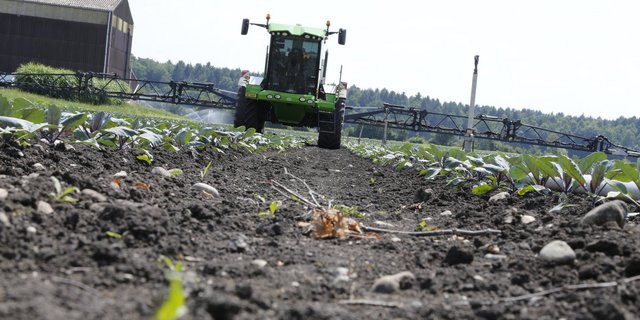 Vergleiche zu ziehen ist schwieriger als es zunächst scheint. (Bild LID)
