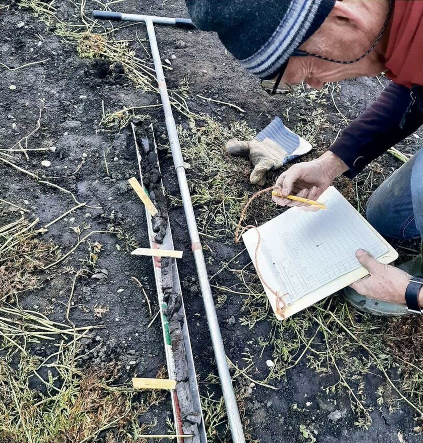 Mittels Stechbohrer wurden Proben entnommen und dokumentiert.