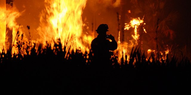 In Australien wüten derzeit Buschfeuer. (Symbolbild Pixabay)