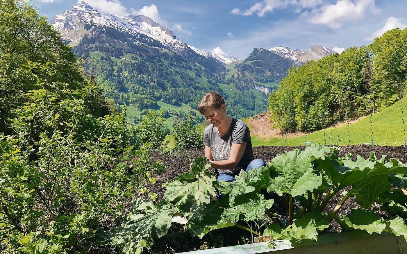 Aus ihrem grosszügigen Garten hat Alice Gwerder, hier während dem Pflücken des Rhabarbers, einen wunderbaren Ausblick in die Berge. Die markante Spitze links im Bild: Wiss Nollen, 2155 m ü. M. 