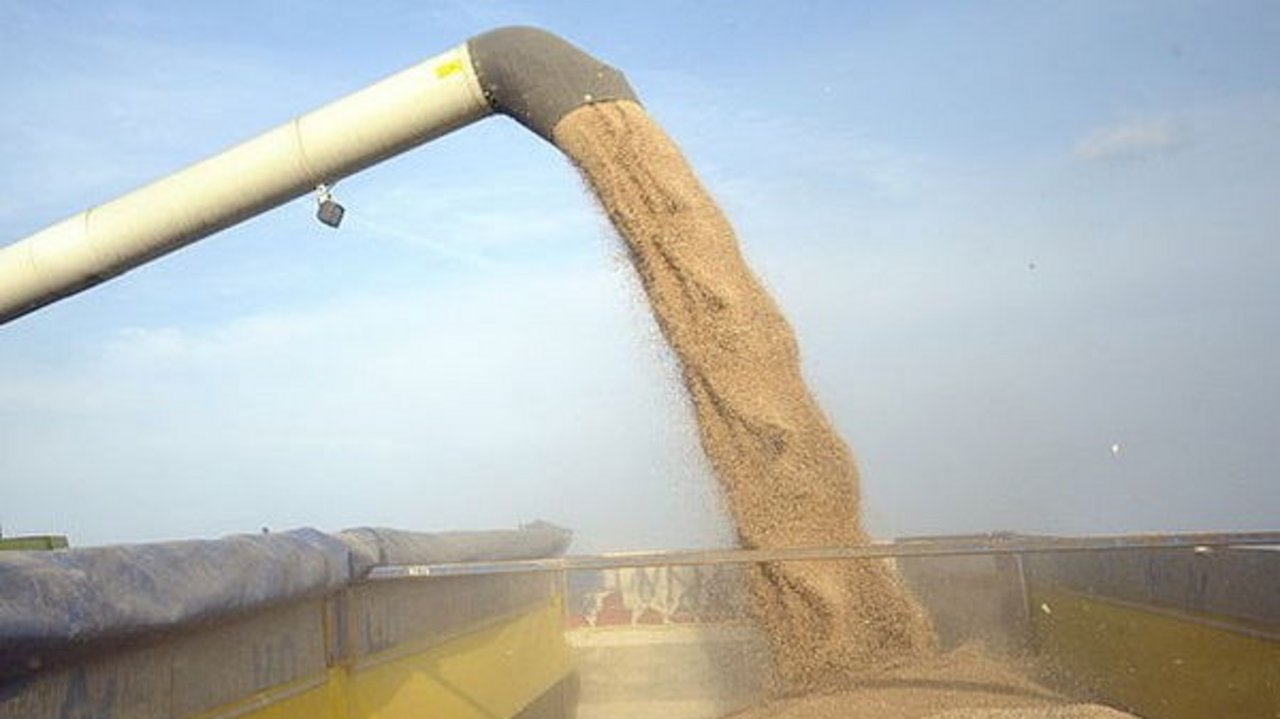Getreideexporte aus Russland und der Ukraine steigen voraussichtlich an. (Bild agrar-press)