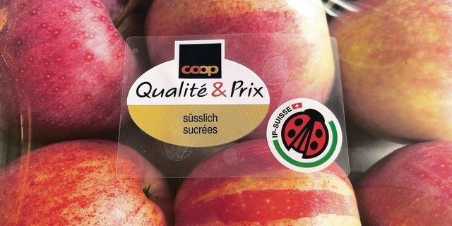 Der IP-Suisse-Käfer prangt neu auf verpackten Äpfeln bei Coop. Offene Ware wird auf dem Preisschild gekennzeichnet.