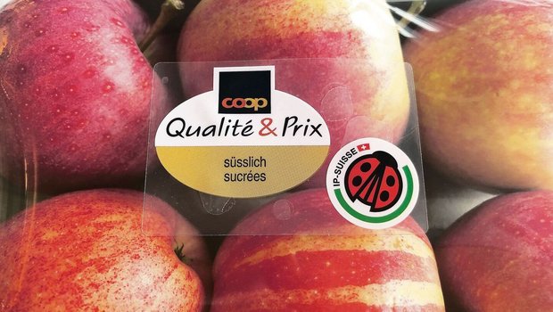 Der IP-Suisse-Käfer prangt neu auf verpackten Äpfeln bei Coop. Offene Ware wird auf dem Preisschild gekennzeichnet.