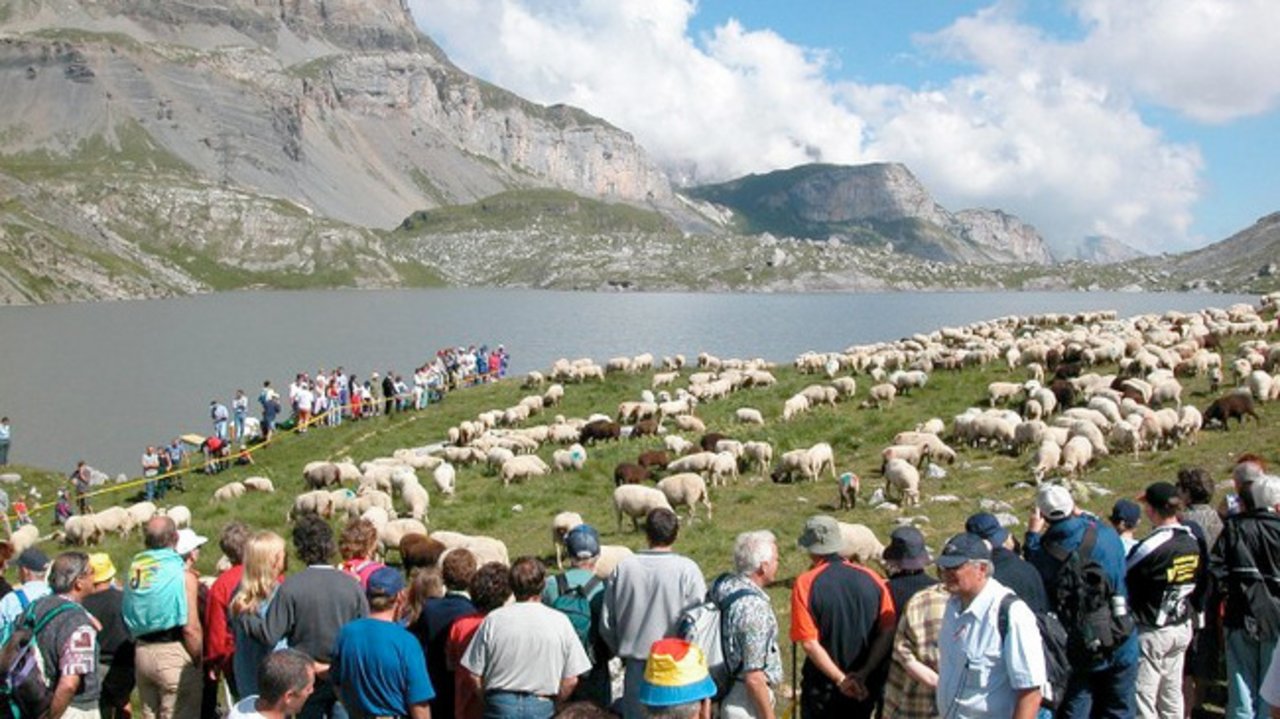 Immer ein Publikumsmagnet: Das Schäferfest auf der Gemmi. (Bild myswiterzland.com)