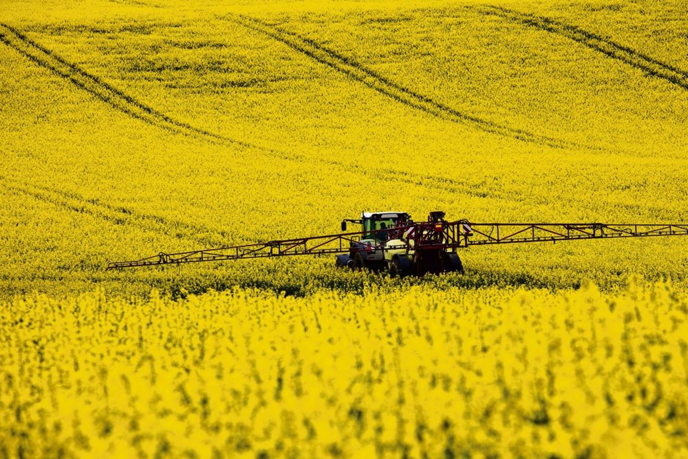 Pflanzenschutzmittel werden in der Landwirtschaft nach dem Schadschwellenprinzip eingesetzt. (Bild: Fotalia)