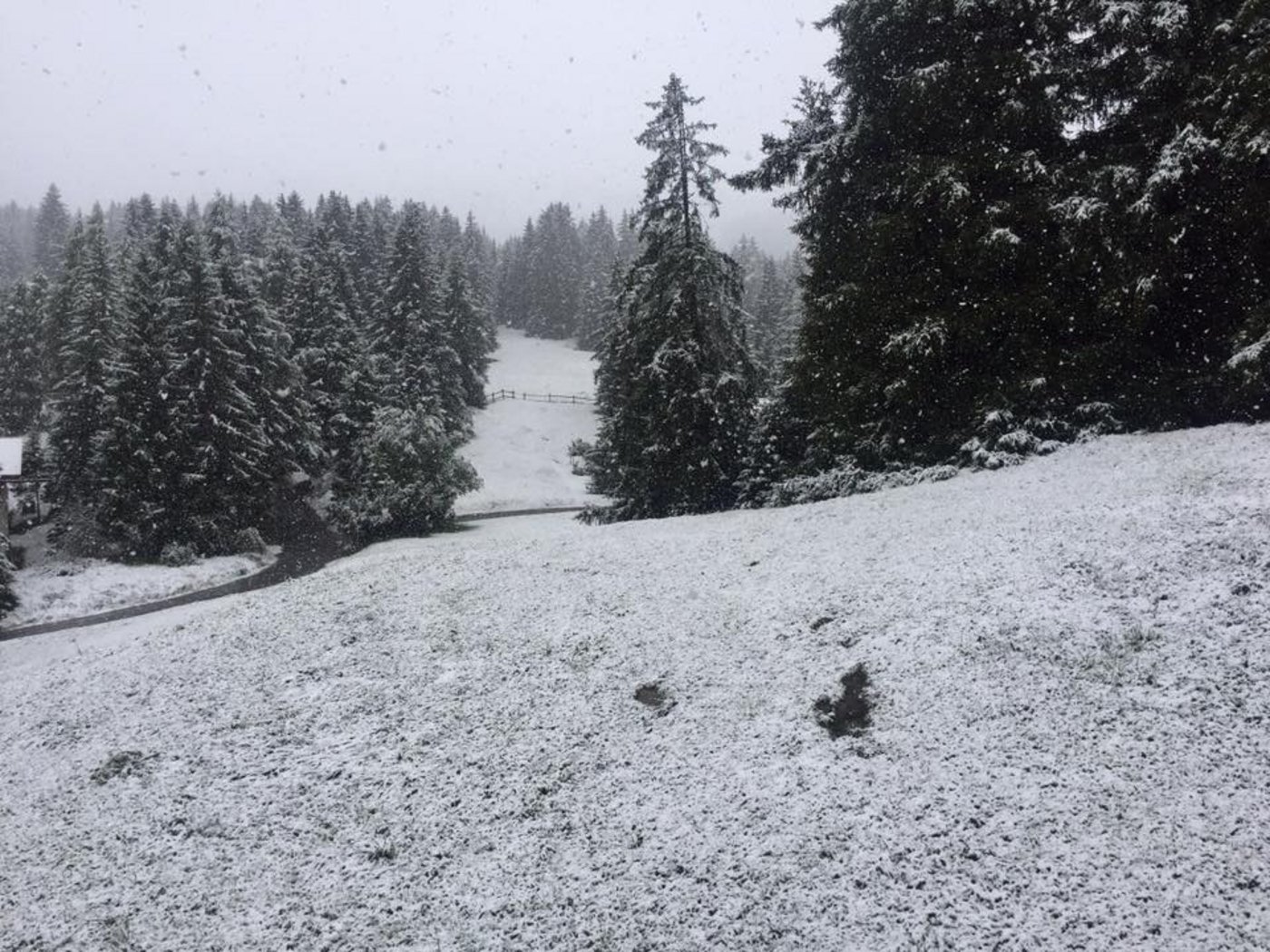 Heute auf der Lenzerheide: Erster Schnee. (Bild Brigitte Stump / FB)