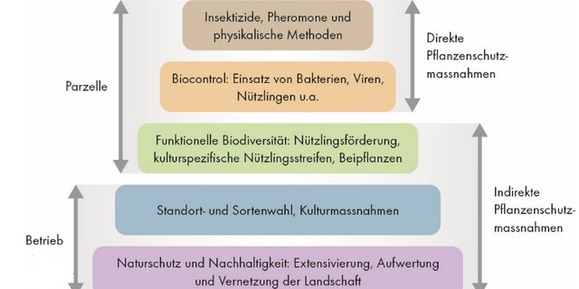 Die Bio-Pflanzenschutzstrategie des FiBL in Pyramidenform. (Grafik pd)