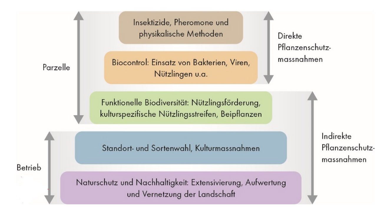 Die Bio-Pflanzenschutzstrategie des FiBL in Pyramidenform. (Grafik pd)