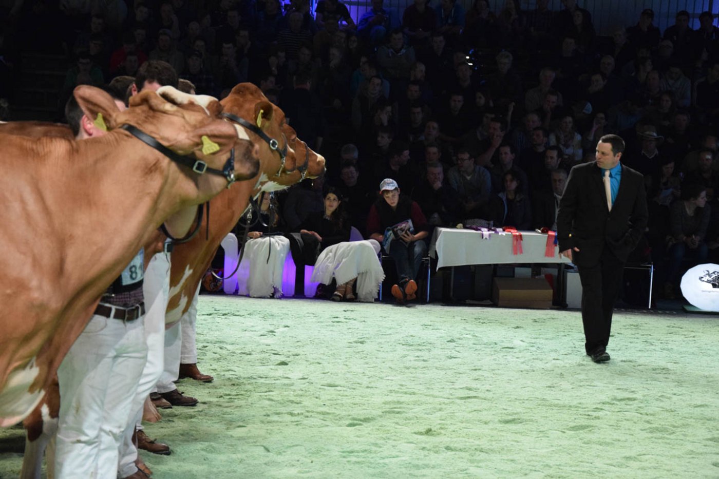 Richter Adam Liddle waltet seines Amtes. (Bild akr)