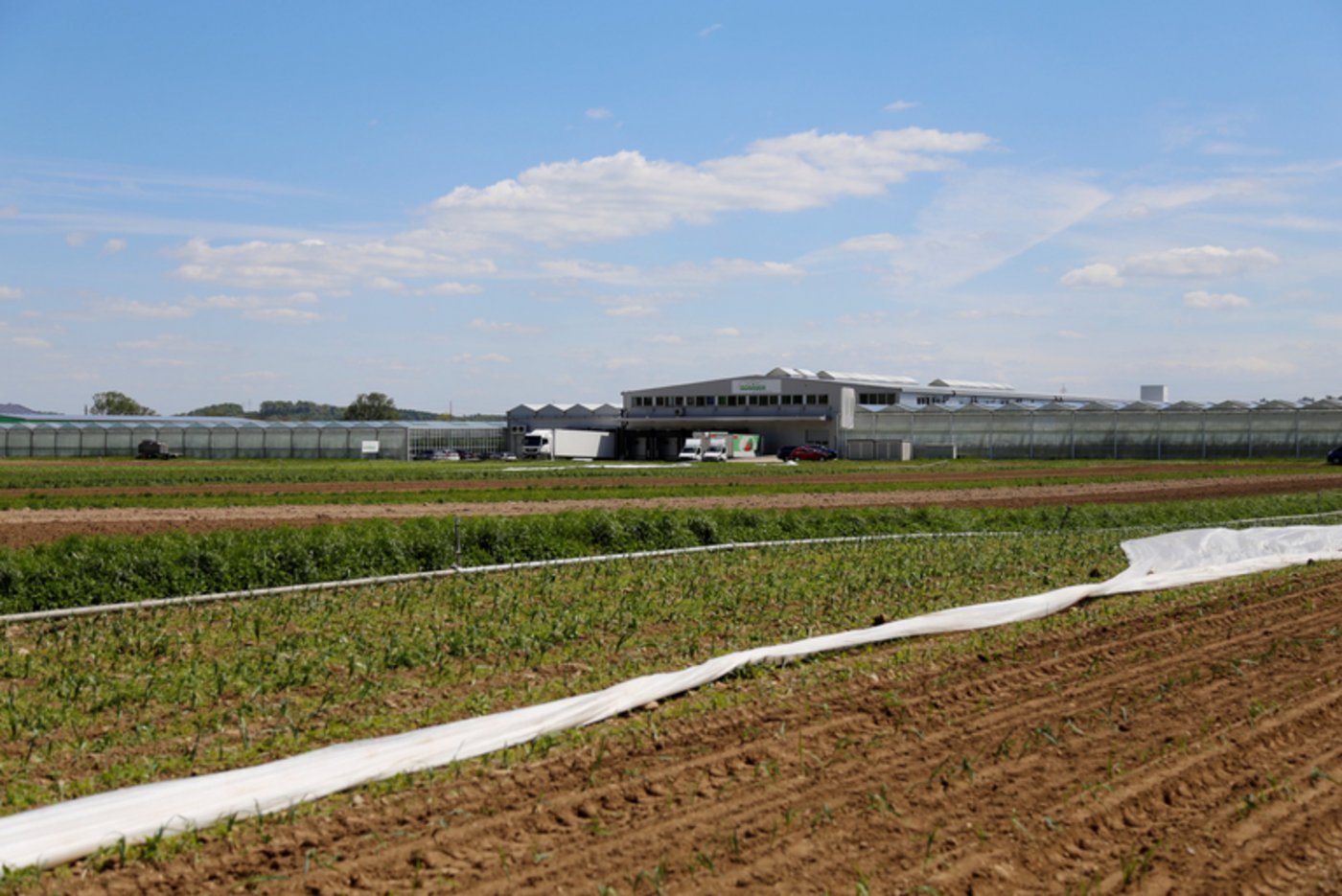 Bösigers Gemüsebetrieb ist auch von der Autobahn aus zu sehen.