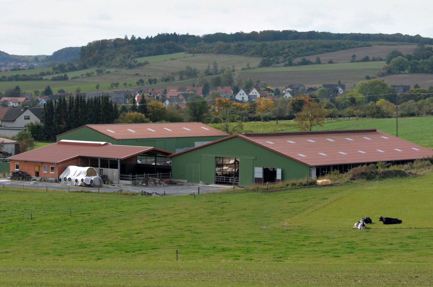Mit der Investition in einen neuen Boxenlaufstall konnte die Wirtschaftlichkeit verbessert werden. 