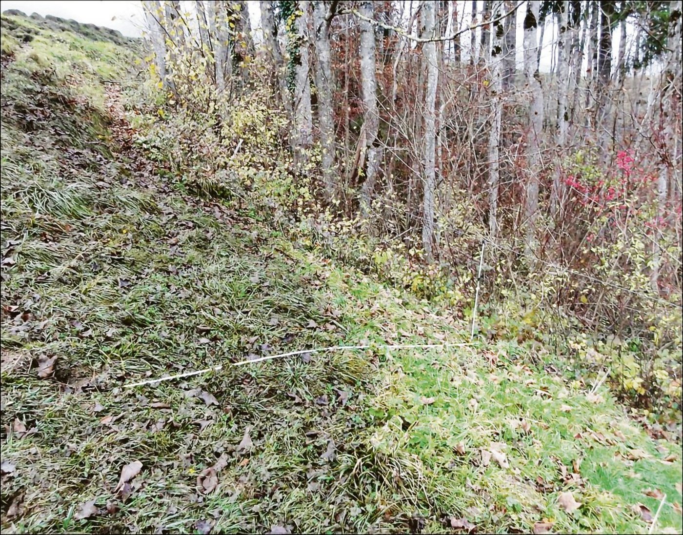 Die Drei-Meter-Regel wurde beim Güllen offensichtlich übertreten.(Bilder zVg)