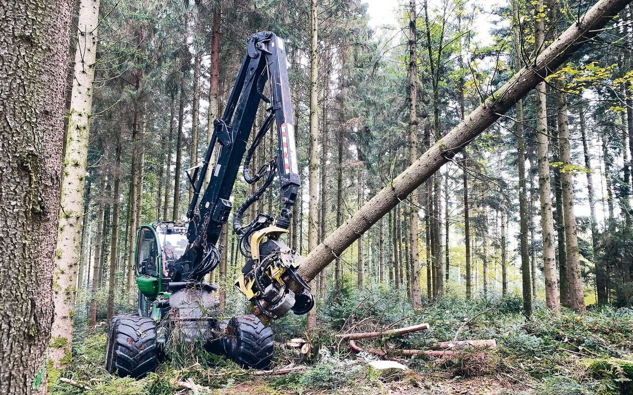 Moderne Holzernte im Wald: Beim Einsatz solcher Prozessoren ist der Informationsbedarf für die Bevölkerung gross. (