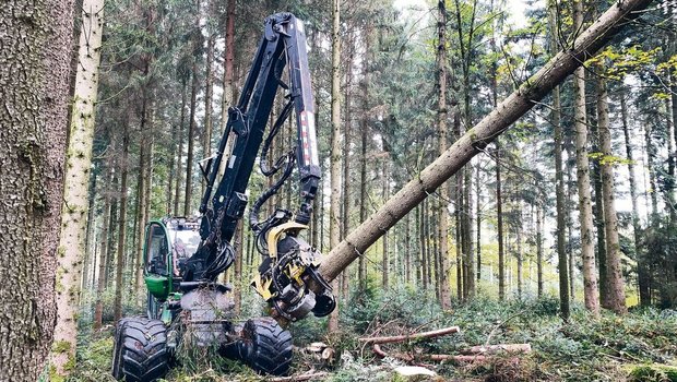 Moderne Holzernte im Wald: Beim Einsatz solcher Prozessoren ist der Informationsbedarf für die Bevölkerung gross. (