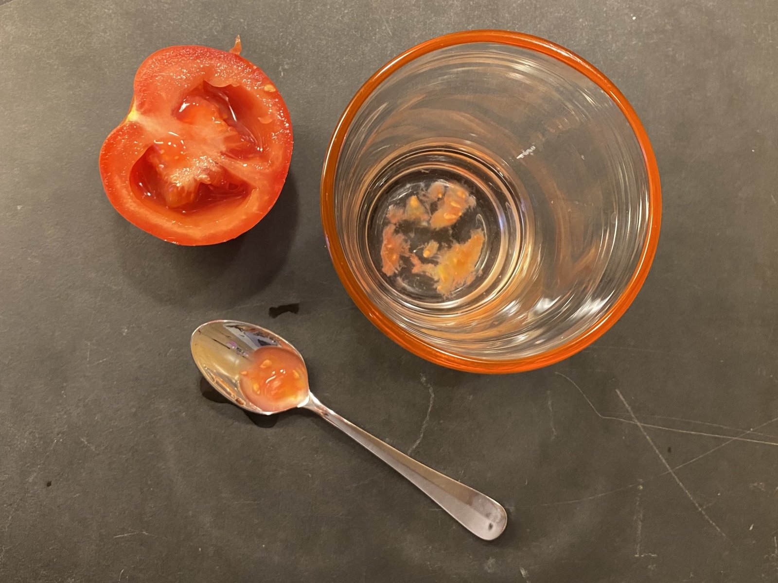 Tomaten aus eigenen Samen ziehen So geht es bauernzeitung.ch