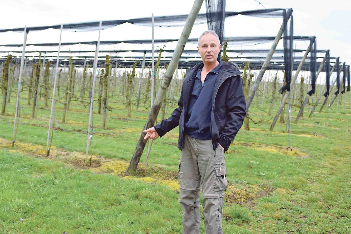 Hansjakob Häberli will in seiner Obstplantage Graskarpfen (siehe nächstes Bild) weiden. Das Projekt aus Bauernhand sieht vielversprechend aus. (Bild sb)