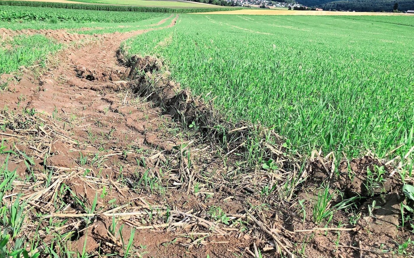 Der Klimawandel sei bereits allgegenwärtig und die Landwirt(innen) müssten in ihrer Anpassung unterstützt werden, so die Agrarallianz.