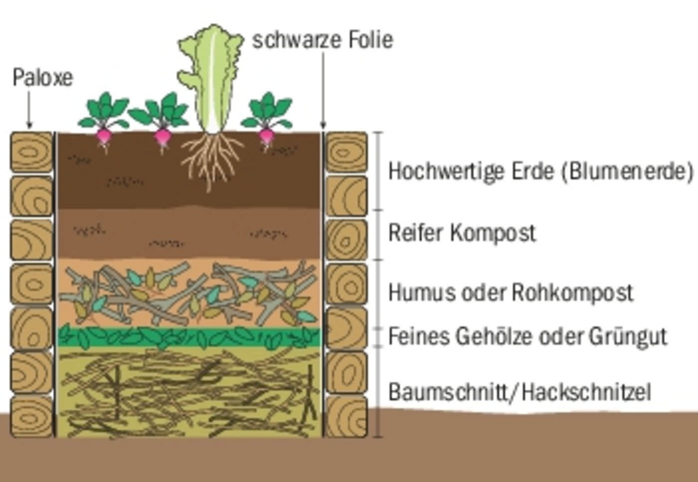 Der Aufbau eines Hochbeets kann unterschiedlich gestaltet werden. Hier eine mögliche Variante.(Grafik Matthieu Induni)
