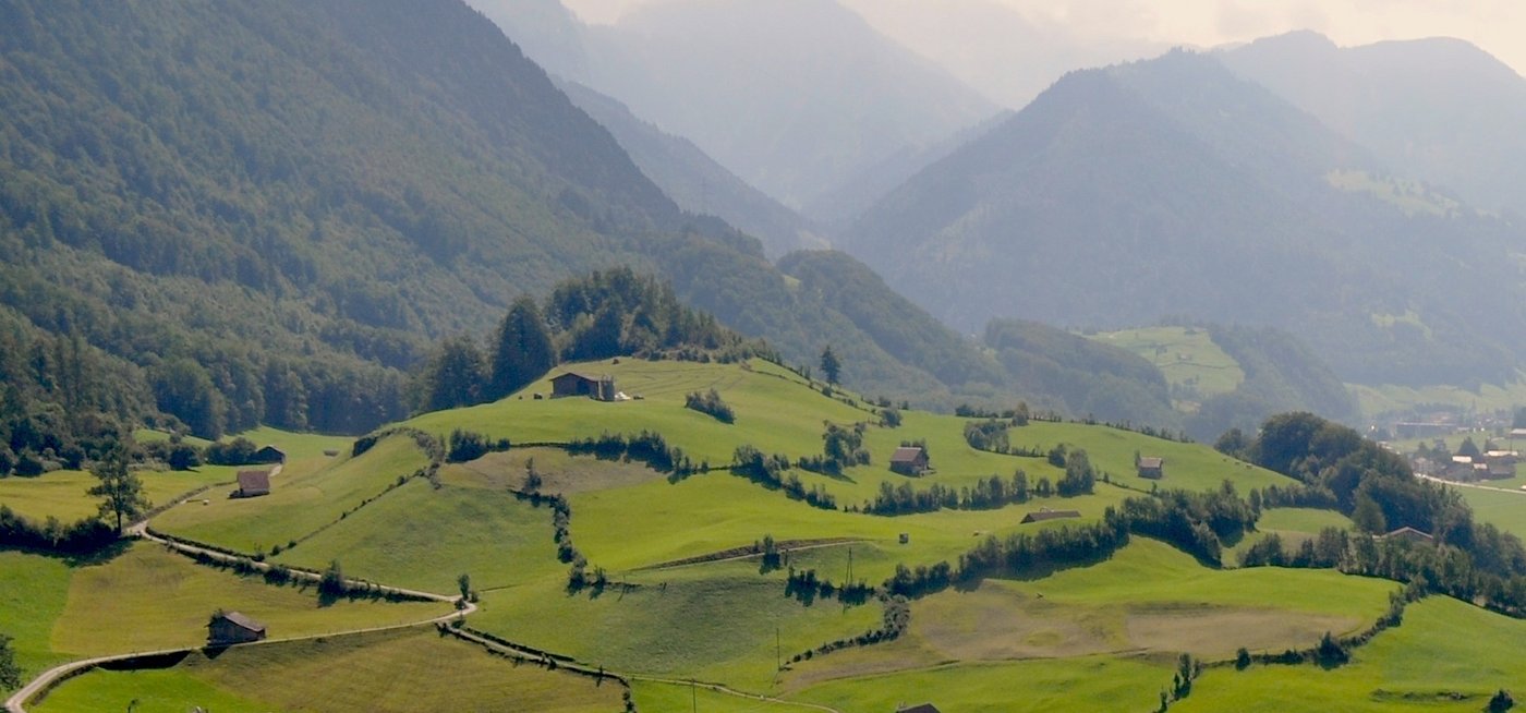 Und zuletzt: Heckenlandschaft im Kanton Glarus. (Bild: Ar. Bosshard)