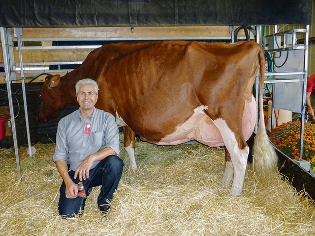 Im Jahr 2013 besuchte Richard Schmid die World Dairy Expo in Madison (USA). Hier mit der Ikone KHW Regiment Apple. Es sei eine eindrückliche Kuh gewesen.(Bild zVg)