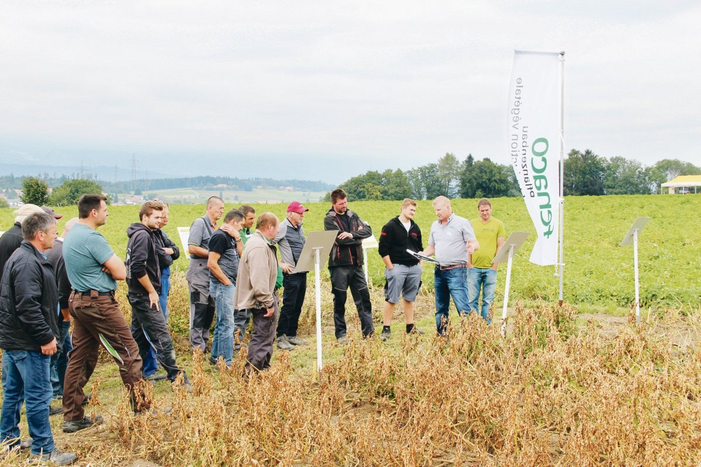 Adrian Sutter (2. v. r.), erklärt die Unterschiede zwischen den verschiedenen Krautvernichtungsverfahren.(Bilder Sebastian Hagenbuch)