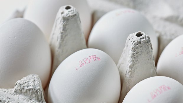 Die Weichen für das Schweizer Ei wurden früh gestellt. (Bild GalloSuisse)