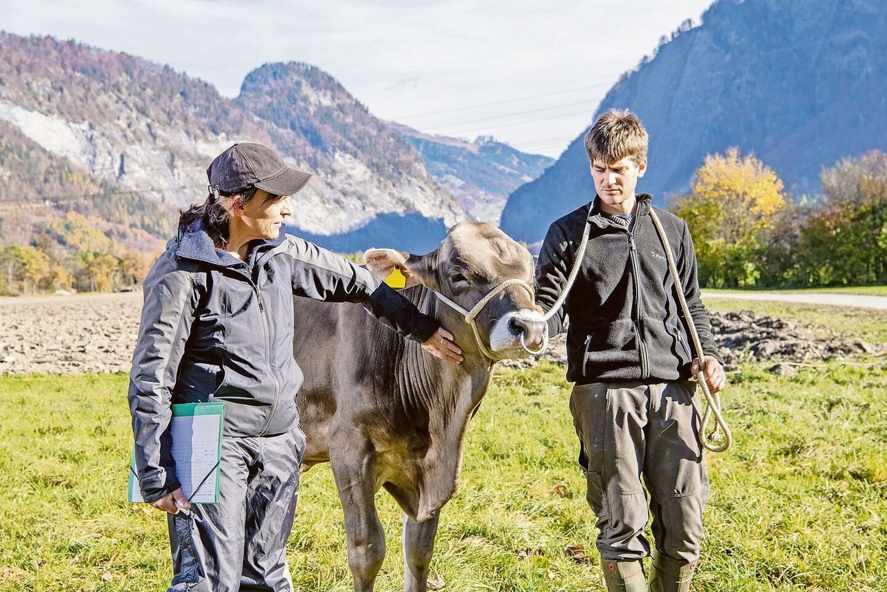 Simbaboy Jansrud ist der erste Braunvieh-Stier des Projekts «Bio-KB-Stiere». Hier mit der FiBL-Agronomin Anet Spengler und dem Tierverantwortlichen vom Plantahof, Marco Bettini.