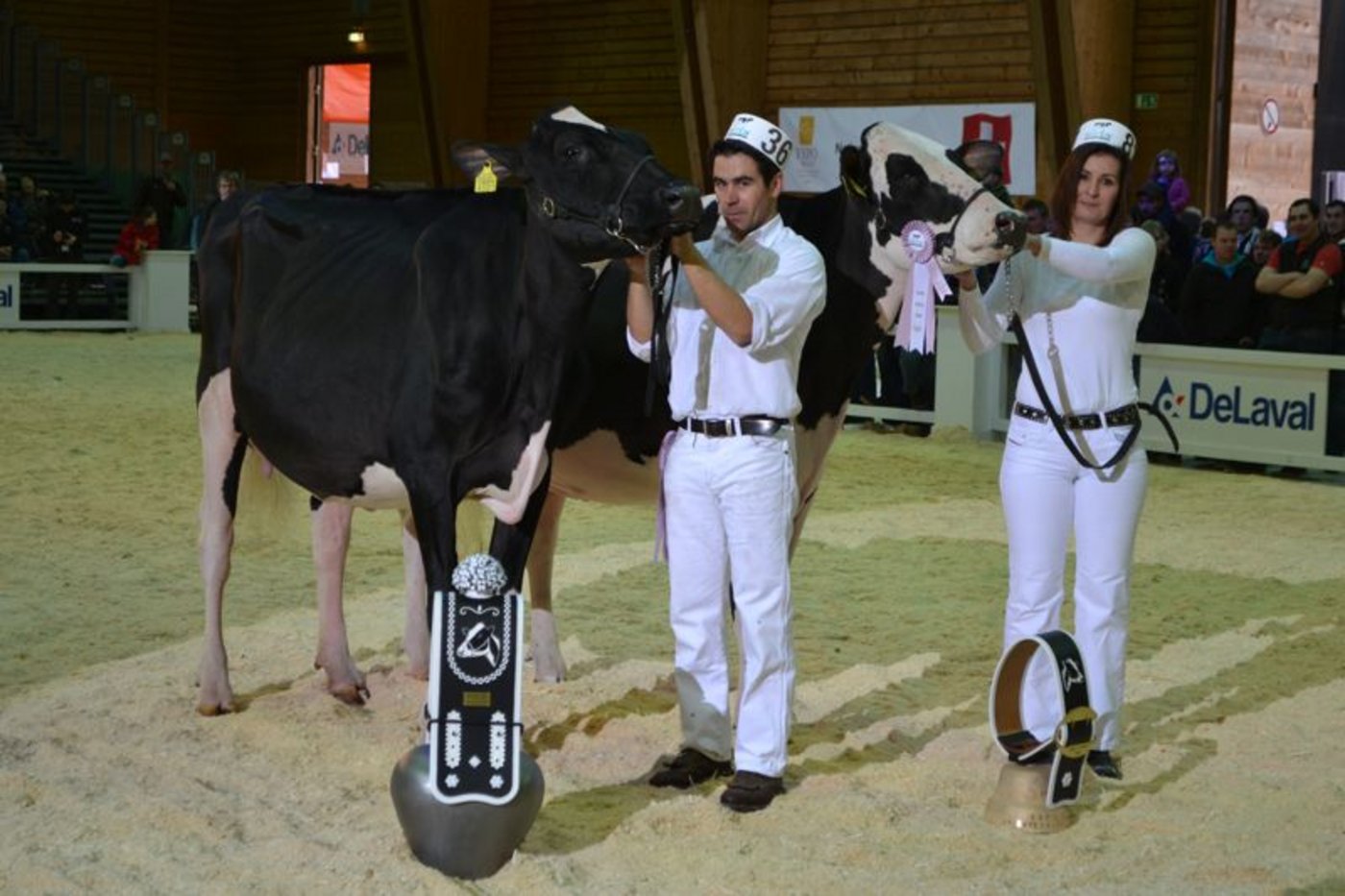 Junior Champion (links): Holst. Papaux Atwood Neptune, Comex Currat-Papaux-Piller, Les Ecasseys / Reserve Junior Champion: Holst. Papaux Fever Noella, Comex Currat-Papaux-Piller, Les Ecasseys