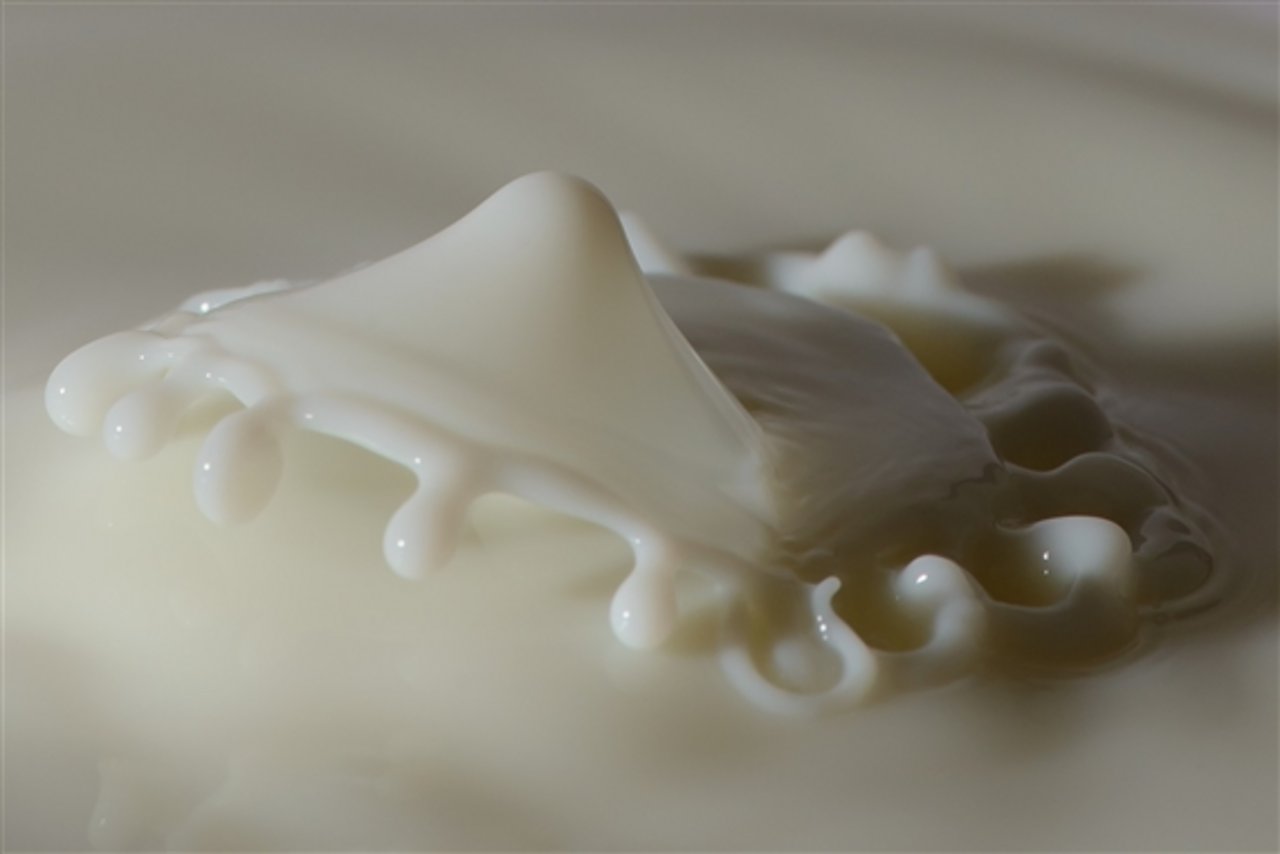 Die gute Qualität rechtfertige einen Mehrwert für die Schweizer Milch, ist sich der Vorstand der Branchenorganisation Milch einig. (Bild pd)