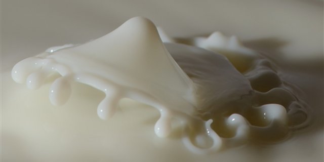 Die gute Qualität rechtfertige einen Mehrwert für die Schweizer Milch, ist sich der Vorstand der Branchenorganisation Milch einig. (Bild pd)