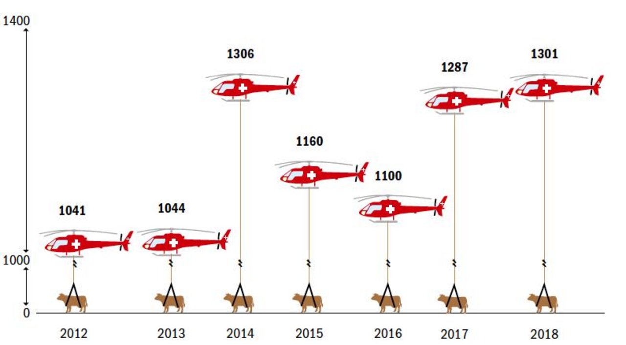 Rund 1100mal pro Jahr kommt in der Schweiz zu einem Helikoptereinsatz, um verletztes oder totes Rindvieh zu bergen. (Grafik BauZ/Daten Rega)