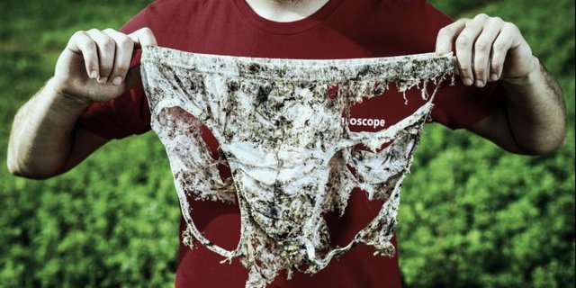 Von Bodenlebewesen zerfressene Unterhose