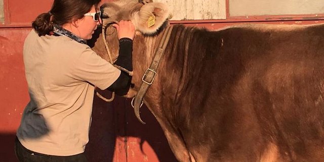 Ein Herz und eine Seele - BauernZeitung-Redaktorin Julia Overney mit Julischka. (Bild zVg)