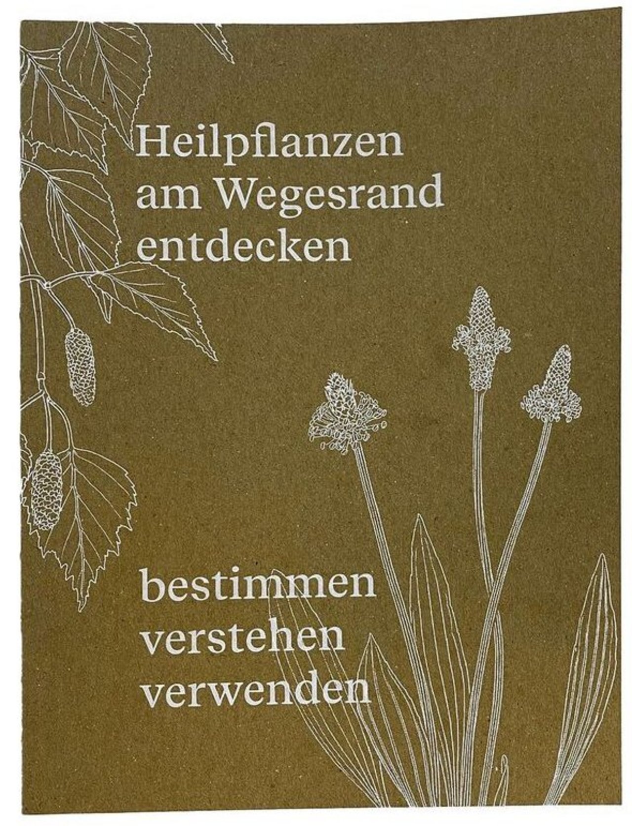 Buch «Heilpflanzen am Wegrand entdecken».