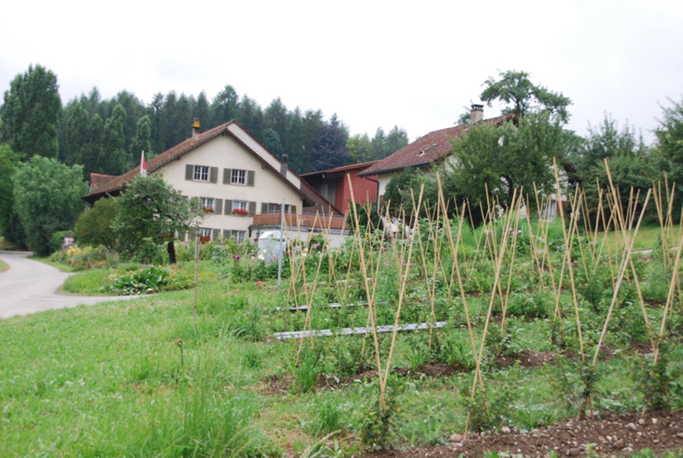 Die Familie Räss baut auf 25 Hektaren Beeren an. (Bild Ruth Bossert)