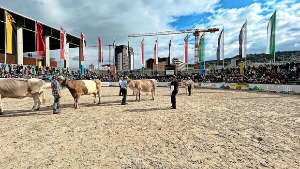 Meistens präsentiert sich die Olma-Arena im besten Sonnenschein – nun aber ziehen dunkle Wolken auf. 